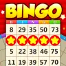 Bingo Holiday Play Offline icon