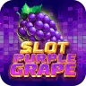 Slot Purple Grape icon