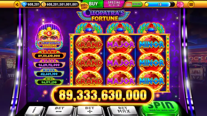 Wild Classic Slots Casino Game screenshot 6